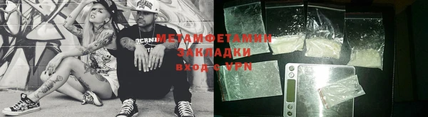 прущие грибы Гусиноозёрск