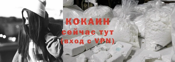 прущие грибы Гусиноозёрск