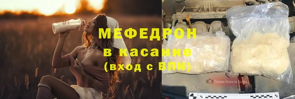 прущие грибы Гусиноозёрск