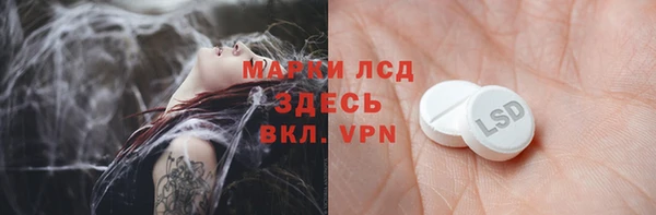 прущие грибы Гусиноозёрск
