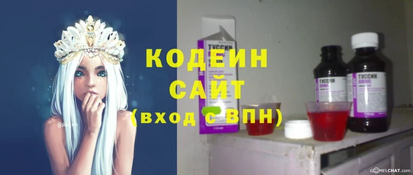 прущие грибы Гусиноозёрск