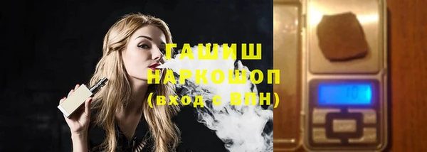 прущие грибы Гусиноозёрск