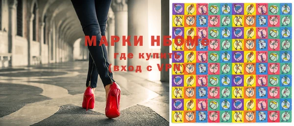 прущие грибы Гусиноозёрск