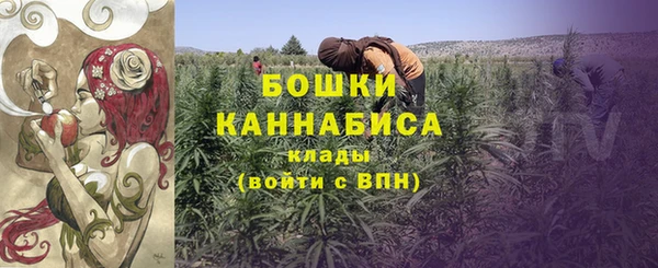 стаф Гусев