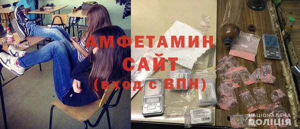 прущие грибы Гусиноозёрск