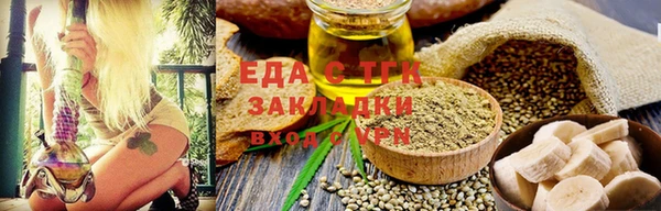прущие грибы Гусиноозёрск