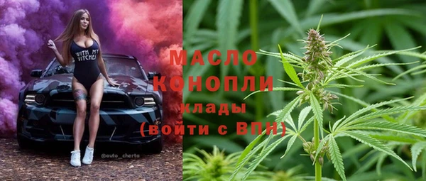 стаф Гусев