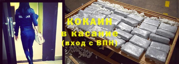 стаф Гусев