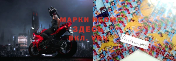 стаф Гусев