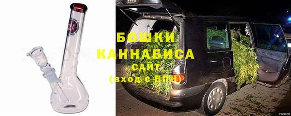 стаф Гусев