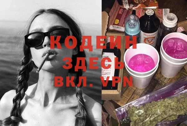 прущие грибы Гусиноозёрск