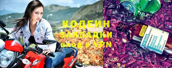прущие грибы Гусиноозёрск