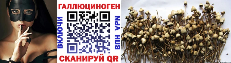 Купить закладки  Пущино  Псилоцибиновые грибы Magic Shrooms 