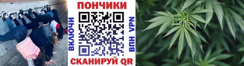 Купить  Пущино  Марихуана MAZAR 